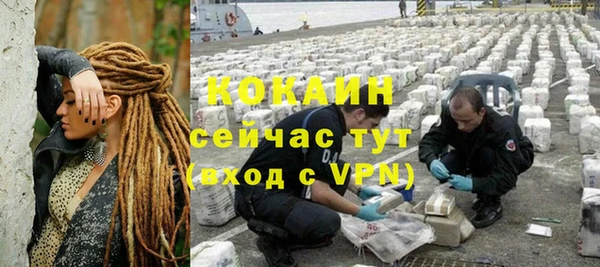 мдпв Ладушкин