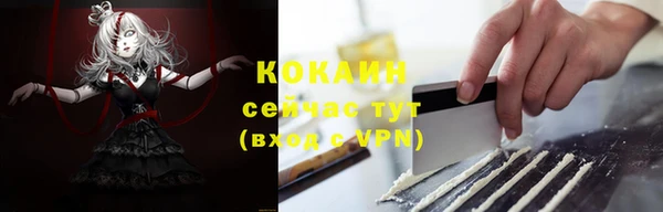 мдпв Ладушкин