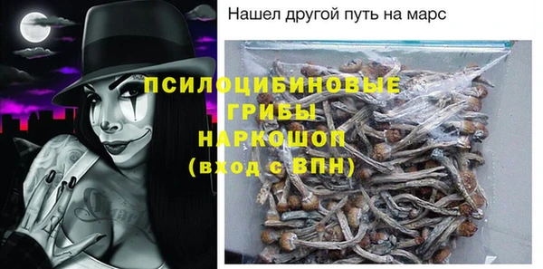 мдпв Ладушкин